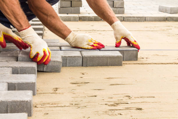Best Driveway Paving Contractor  in Senoia, GA